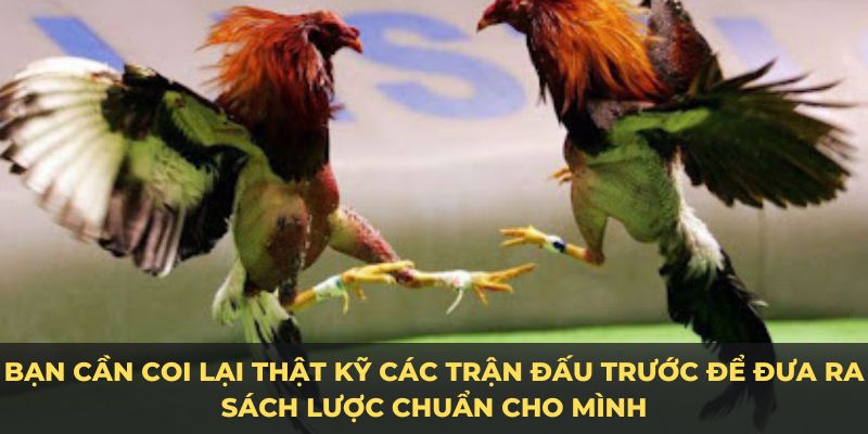 Bạn cần coi lại thật kỹ các trận đấu trước để đưa ra sách lược chuẩn cho mình