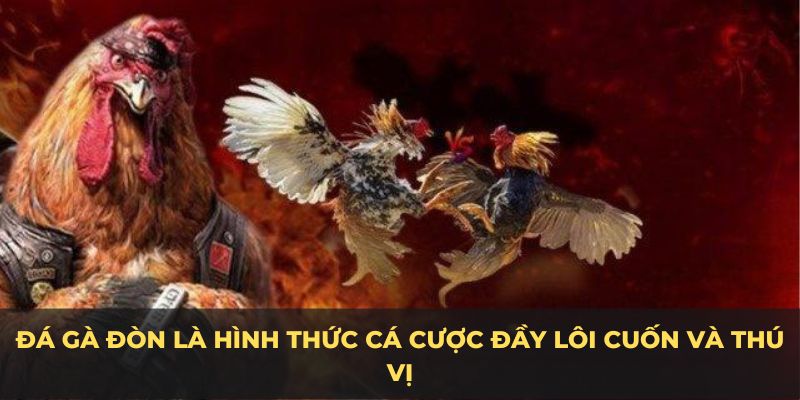 Đá gà đòn là hình thức cá cược đầy lôi cuốn và thú vị